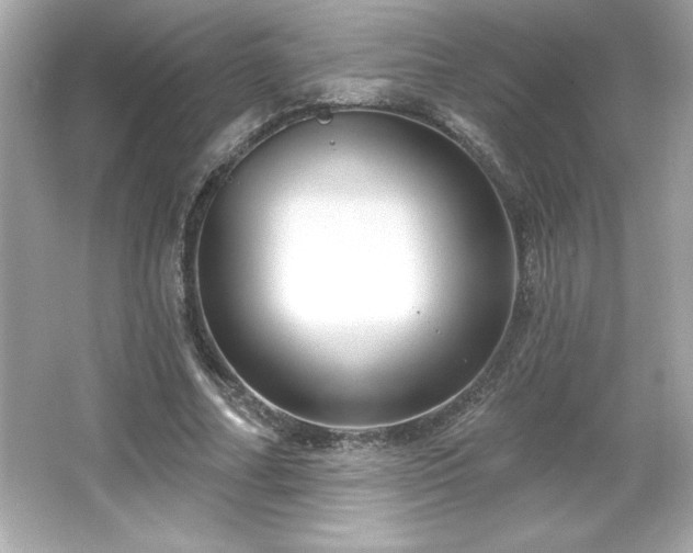 X0000066490682200603201257