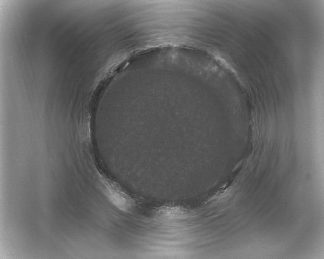X0000066490685200603201257