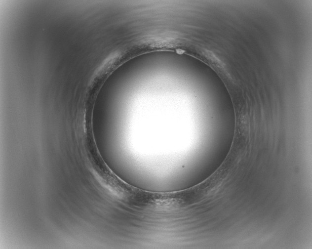 X0000066490686200603201257