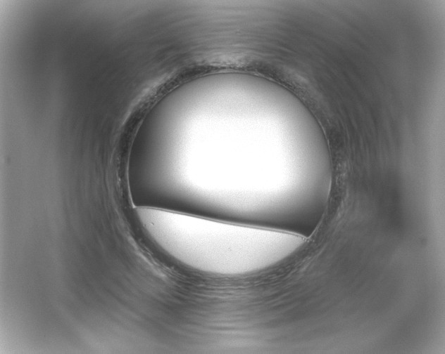 X0000066490688200603201257