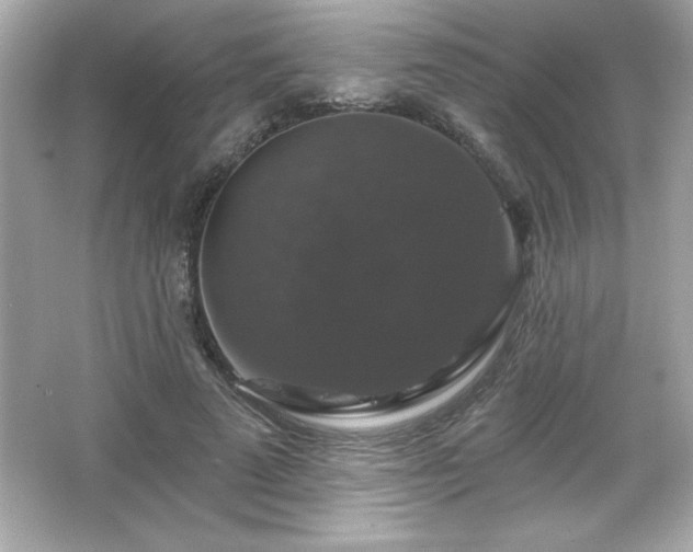 X0000066490689200603201257
