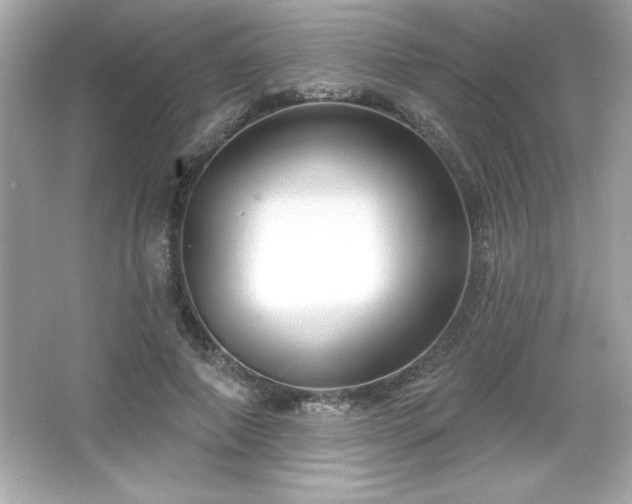 X0000066490690200603201257