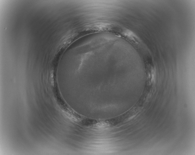X0000066490696200603201257