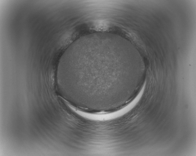 X0000066490697200603201257