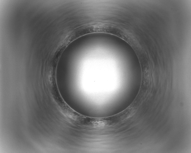 X0000066490698200603201257