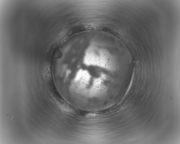 X0000066490699200603201257