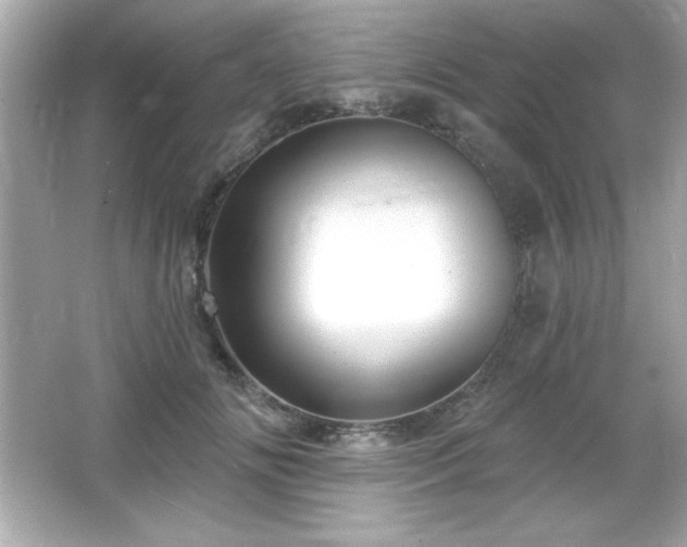 X0000066490702200603201257