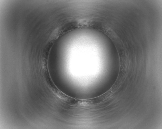 X0000066490706200603201257