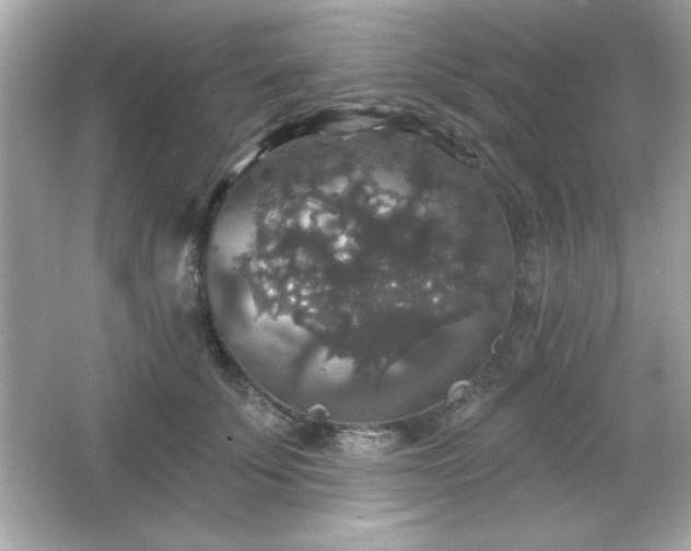 X0000066490707200603201257