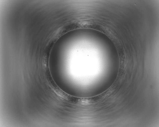 X0000066490710200603201257