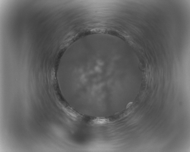 X0000066490711200603201257