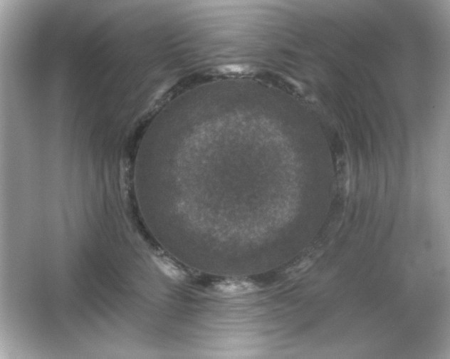 X0000066490712200603201257