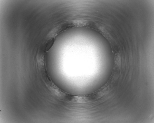 X0000066490713200603201257