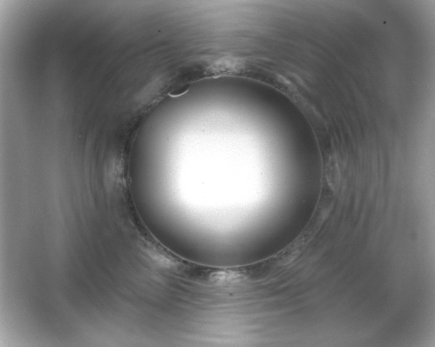 X0000066490714200603201257