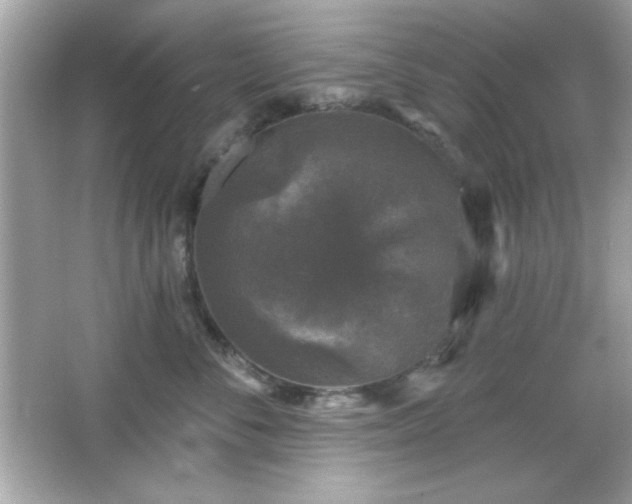 X0000066490716200603201257