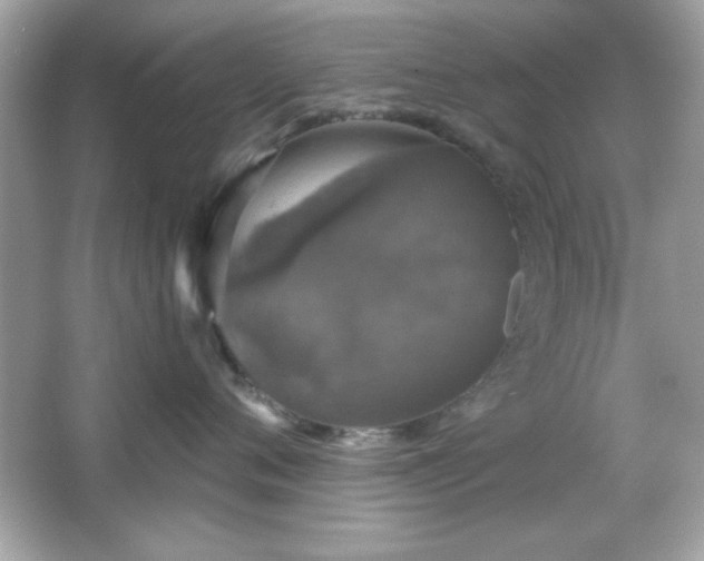 X0000066490720200603201257