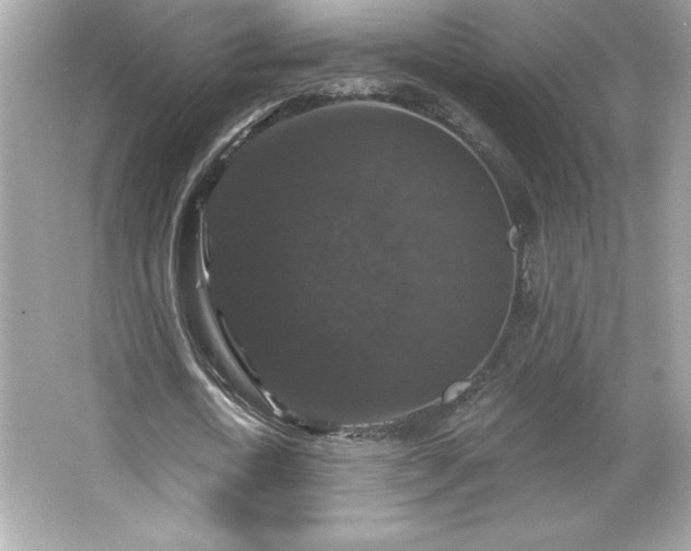 X0000066490722200603201256