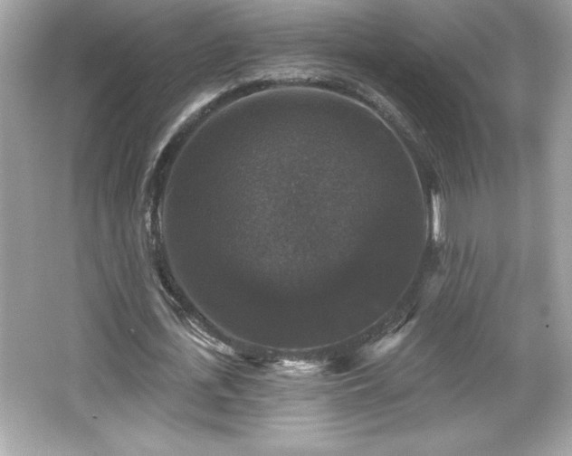 X0000066490723200603201256