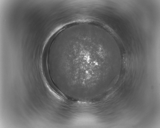 X0000066490726200603201256