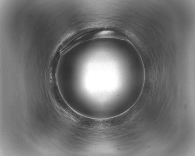 X0000066490731200603201256