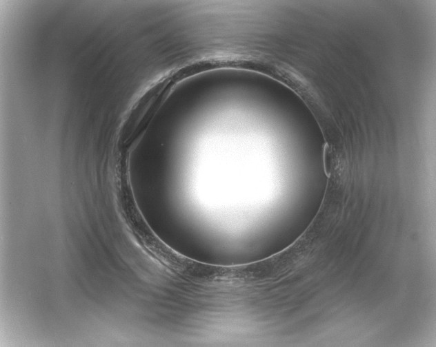 X0000066490732200603201256