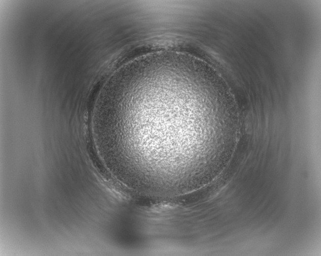 X0000066490737200603201256