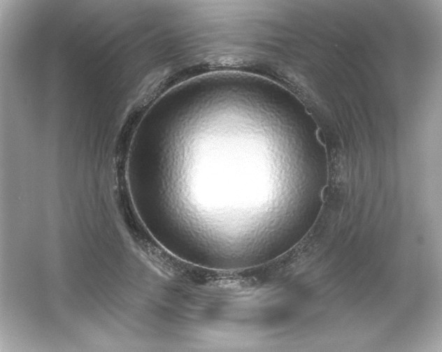 X0000066490738200603201256