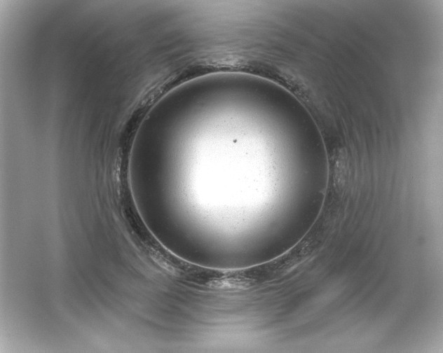 X0000066490739200603201256