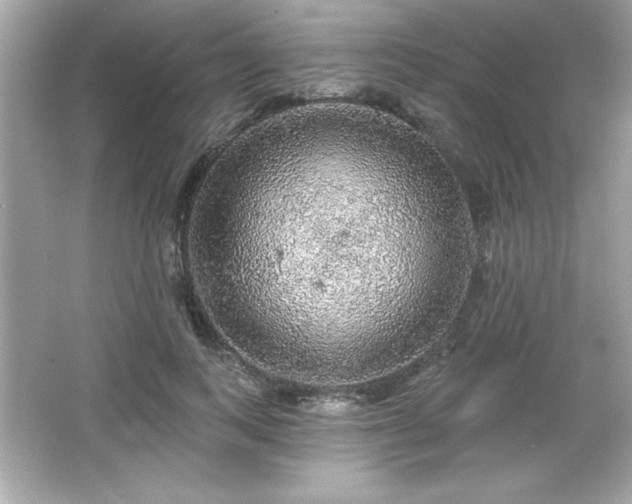 X0000066490743200603201256