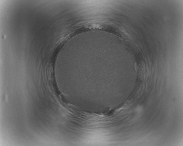 X0000066490747200603201256