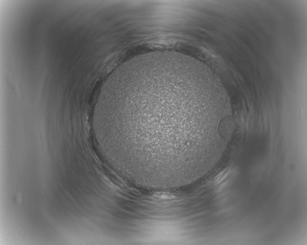 X0000066490749200603201256