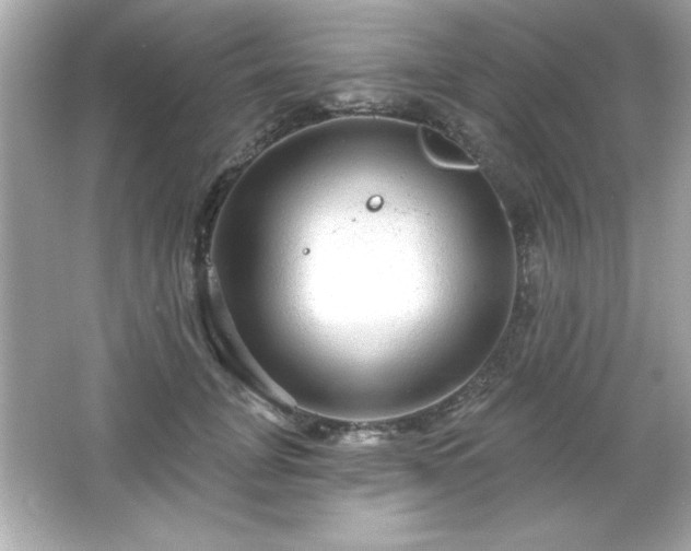 X0000066490751200603201256