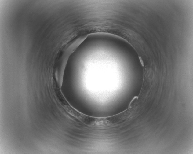X0000066490752200603201256
