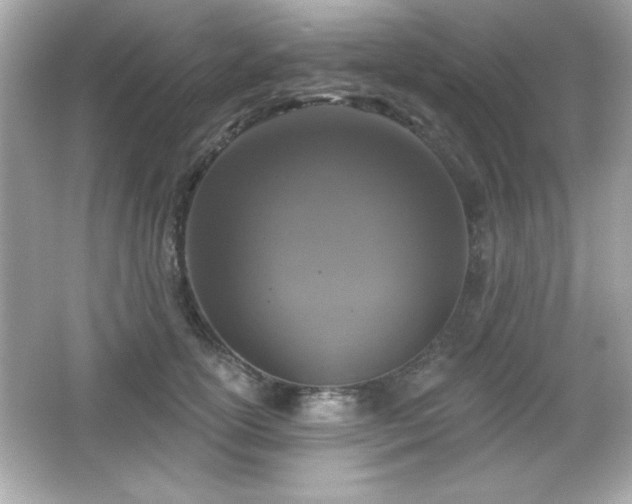 X0000066490754200603201257