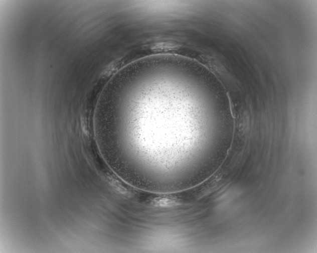 X0000066490755200603201257