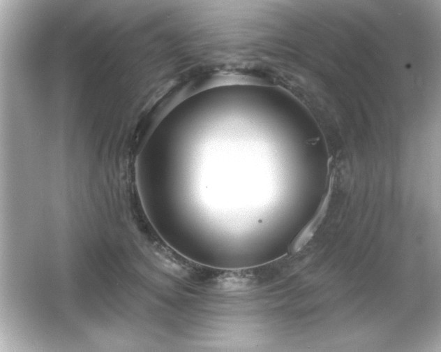 X0000066490756200603201257