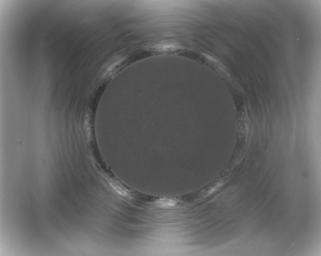 X0000066490762200603201257