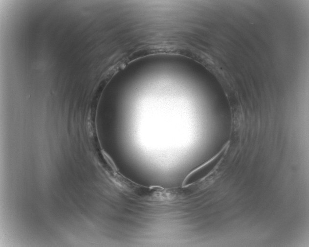 X0000066490764200603201257