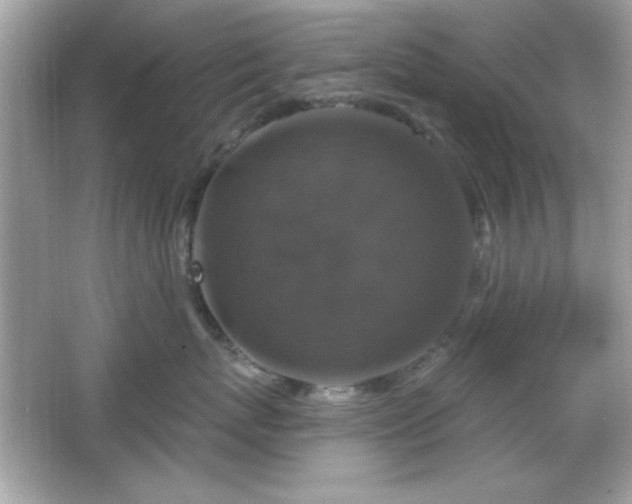 X0000066490767200603201257