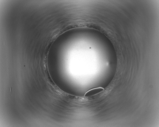 X0000066490768200603201257