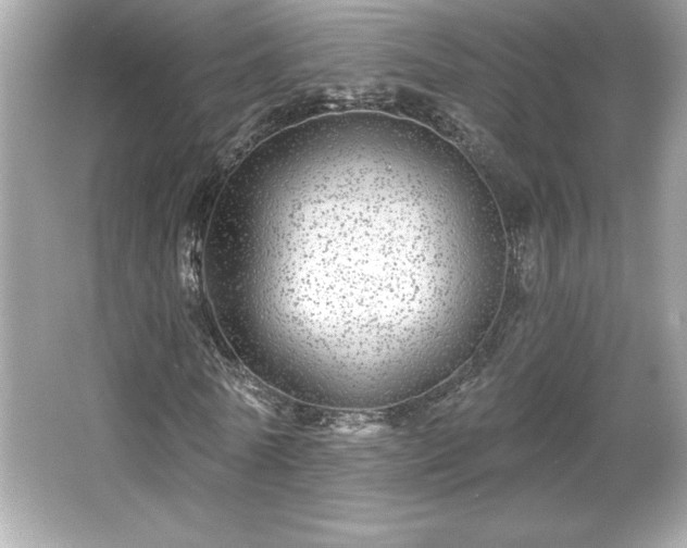 X0000066490770200603201256