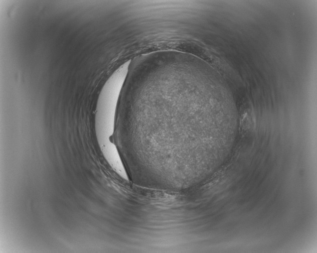 X0000066490772200603201256