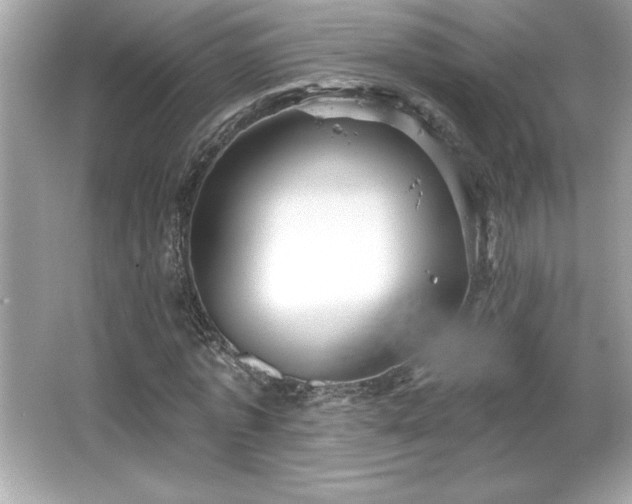 X0000066490773200603201256