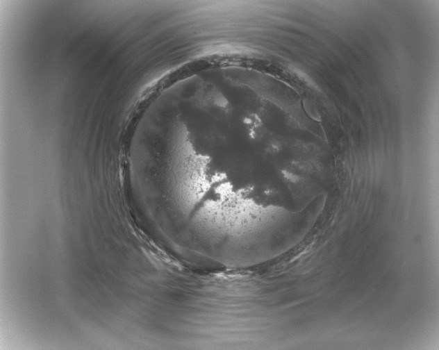 X0000066490775200603201256