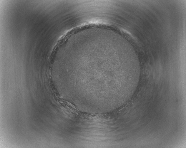 X0000066490776200603201256