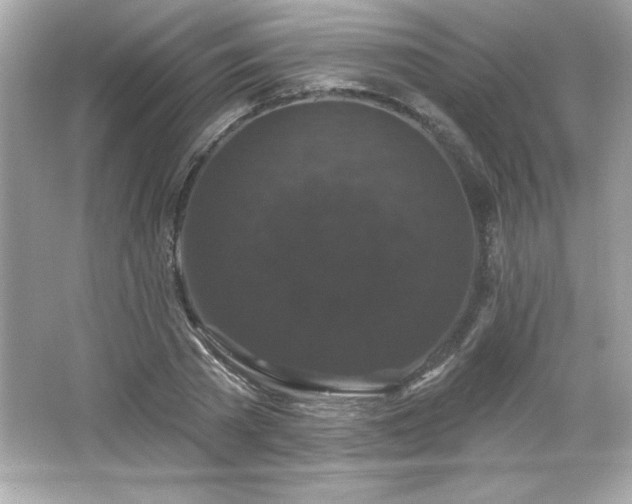 X0000066490785200603201256