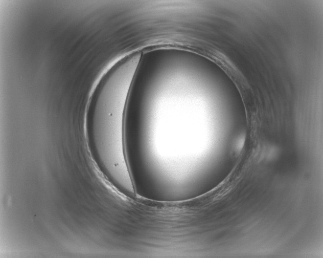X0000066490788200603201256