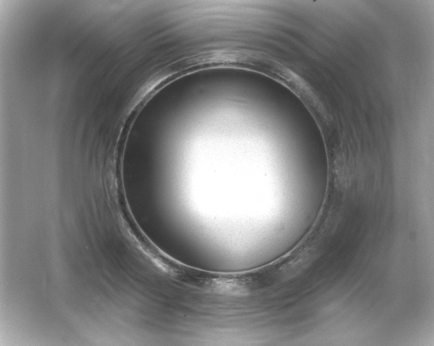 X0000066490794200603201256