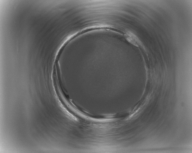 X0000066490797200603201255