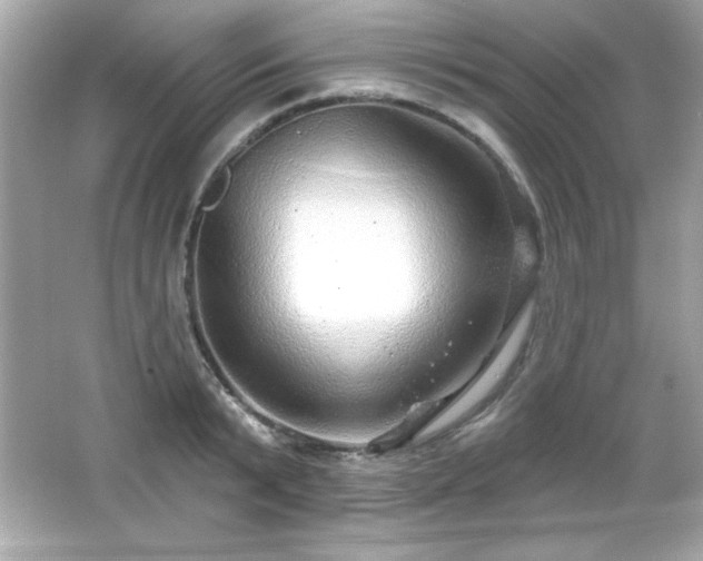 X0000066490799200603201255